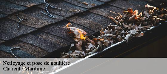 Nettoyage et pose de gouttière 17 Charente-Maritime HC Rénovation Couverture-5