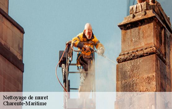 Nettoyage de muret 17 Charente-Maritime HC Rénovation Couverture-2