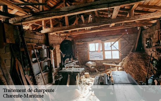 Traitement de charpente 17 Charente-Maritime HC Rénovation Couverture-2