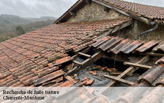 Recherche de fuite toiture 17 Charente-Maritime  HC Rénovation Couverture-2