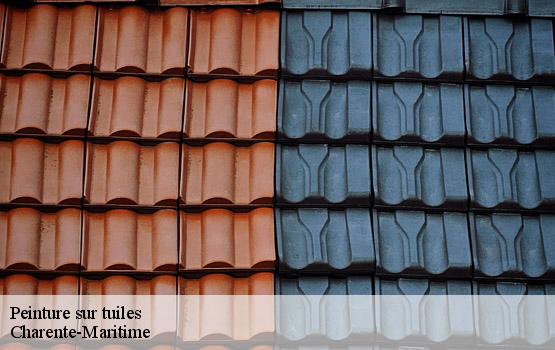 Peinture sur tuiles 17 Charente-Maritime  HC Rénovation Couverture-2