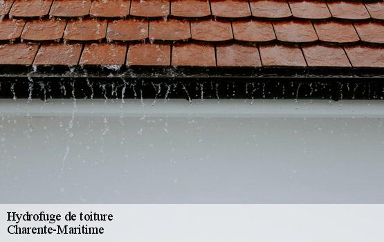 Hydrofuge de toiture 17 Charente-Maritime  HC Rénovation Couverture-2