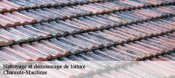 Nettoyage et démoussage de toiture 17 Charente-Maritime  HC Rénovation Couverture-5