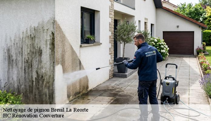 Nettoyage de pignon breuil-la-reorte-17700 HC Rénovation Couverture-7