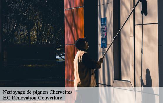 Nettoyage de pignon chervettes-17380 HC Rénovation Couverture-1