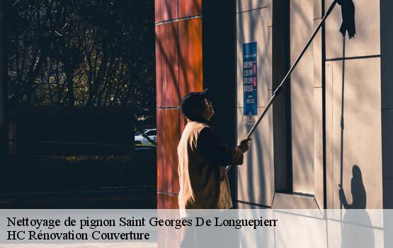Nettoyage de pignon  saint-georges-de-longuepierr-17470 HC Rénovation Couverture-1