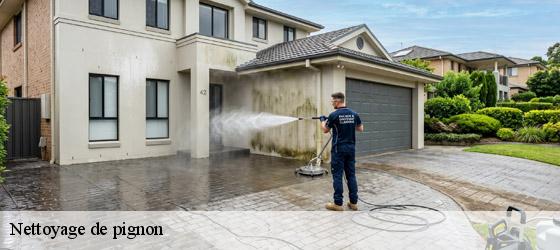 Nettoyage de pignon saint-martial-de-vitaterne-17500 HC Rénovation Couverture-3
