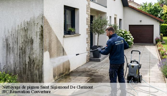 Nettoyage de pignon saint-sigismond-de-clermont-17240 HC Rénovation Couverture-7