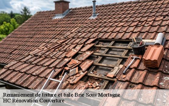Remaniement de toiture et tuile brie-sous-mortagne-17120 HC Rénovation Couverture-1