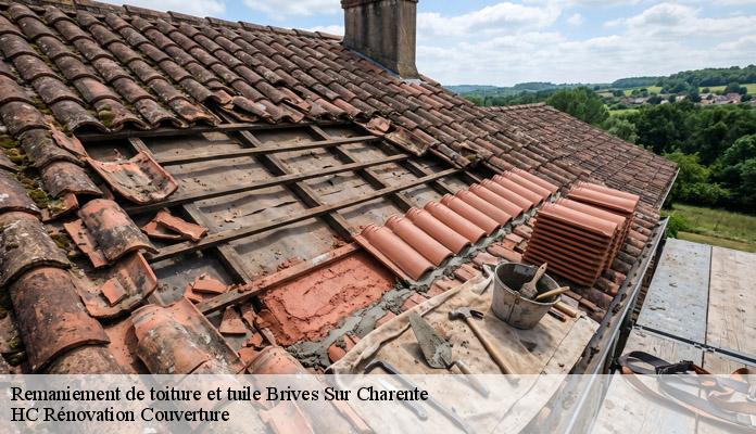 Remaniement de toiture et tuile  brives-sur-charente-17800 HC Rénovation Couverture-7