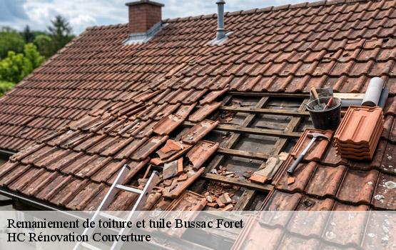 Remaniement de toiture et tuile bussac-foret-17210 HC Rénovation Couverture-1