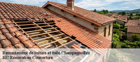 Remaniement de toiture et tuile champagnolles-17240 HC Rénovation Couverture-4