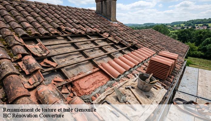 Remaniement de toiture et tuile genouille-17430 HC Rénovation Couverture-7