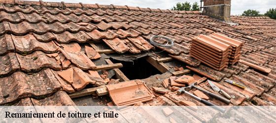 Remaniement de toiture et tuile  moulons-17130 HC Rénovation Couverture-6