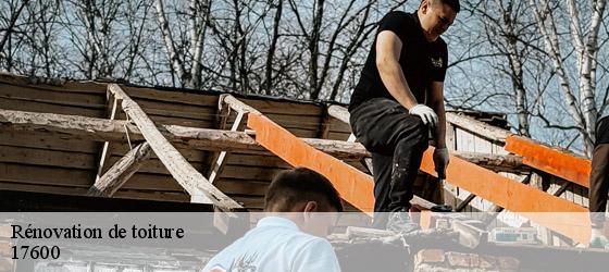 Rénovation de toiture  la-chay-17600 HC Rénovation Couverture-5