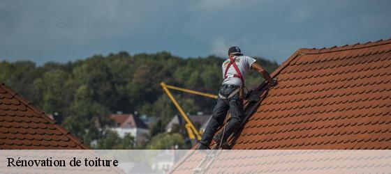 Rénovation de toiture  moragne-17430 HC Rénovation Couverture-3