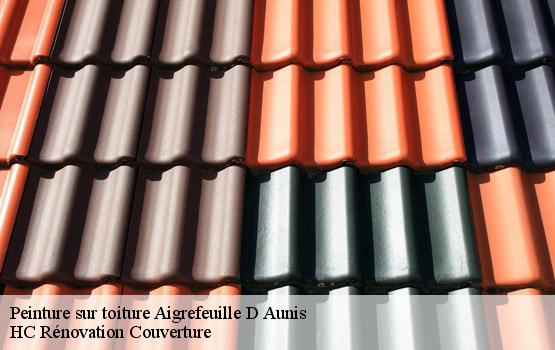 Peinture sur toiture  aigrefeuille-d-aunis-17290 HC Rénovation Couverture-4