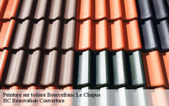 Peinture sur toiture bourcefranc-le-chapus-17560 HC Rénovation Couverture-4