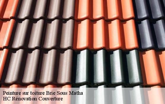 Peinture sur toiture  brie-sous-matha-17160 HC Rénovation Couverture-4