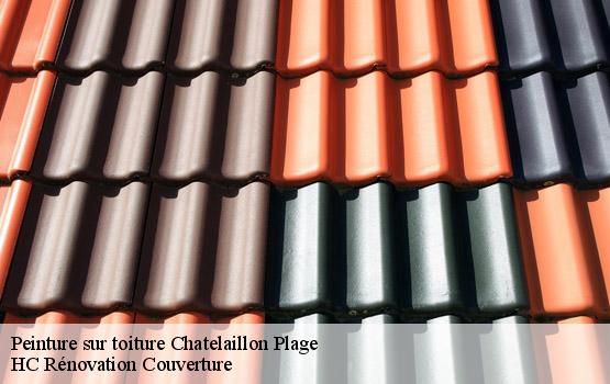 Peinture sur toiture  chatelaillon-plage-17340 HC Rénovation Couverture-4