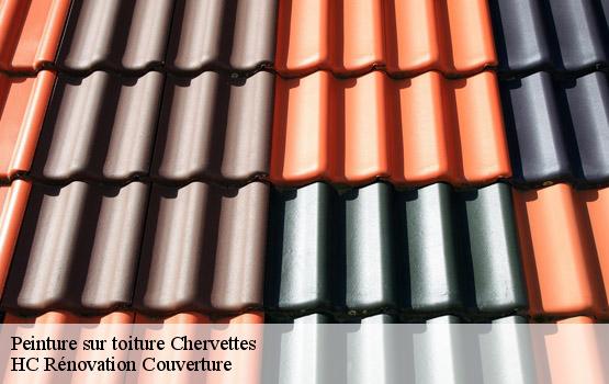Peinture sur toiture chervettes-17380 HC Rénovation Couverture-4