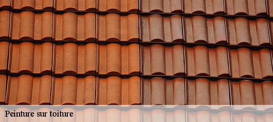 Peinture sur toiture la-clisse-17600 HC Rénovation Couverture-3