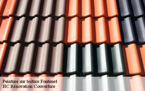 Peinture sur toiture fontenet-17400 HC Rénovation Couverture-4