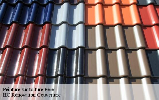 Peinture sur toiture pere-17700 HC Rénovation Couverture-1