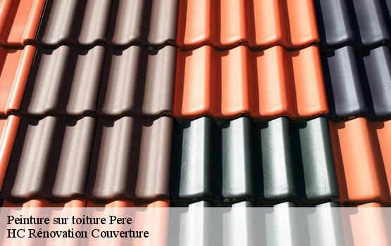 Peinture sur toiture pere-17700 HC Rénovation Couverture-4
