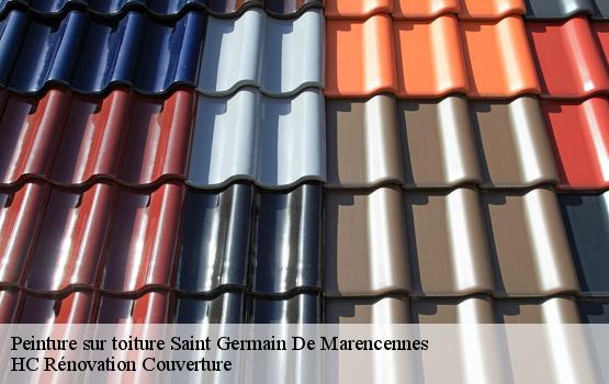 Peinture sur toiture saint-germain-de-marencennes-17700 HC Rénovation Couverture-1