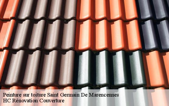 Peinture sur toiture saint-germain-de-marencennes-17700 HC Rénovation Couverture-4