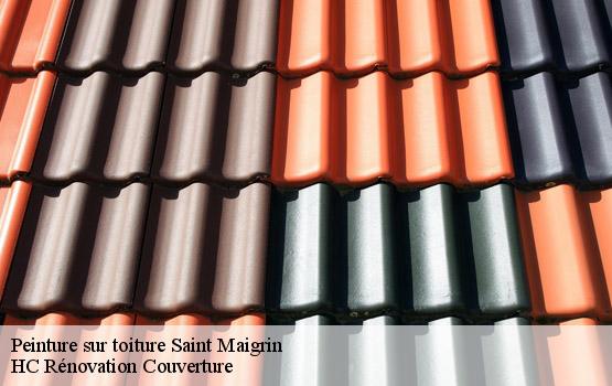 Peinture sur toiture saint-maigrin-17520 HC Rénovation Couverture-4