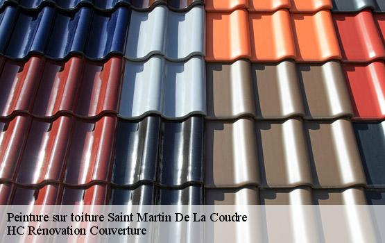 Peinture sur toiture saint-martin-de-la-coudre-17330 HC Rénovation Couverture-1