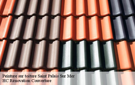Peinture sur toiture saint-palais-sur-mer-17420 HC Rénovation Couverture-4