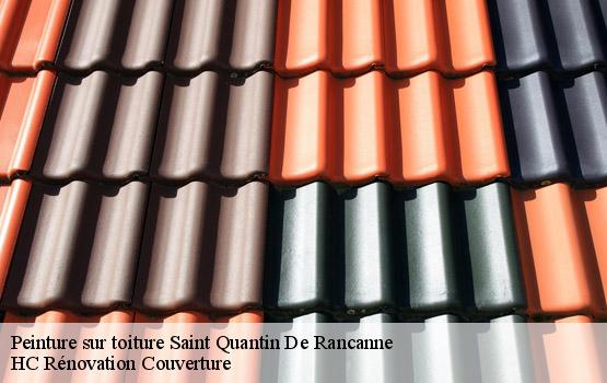 Peinture sur toiture saint-quantin-de-rancanne-17800 HC Rénovation Couverture-4