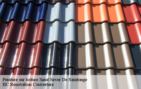 Peinture sur toiture saint-sever-de-saintonge-17800 HC Rénovation Couverture-1