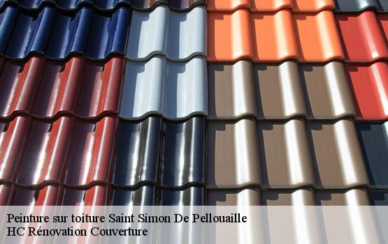 Peinture sur toiture saint-simon-de-pellouaille-17260 HC Rénovation Couverture-1
