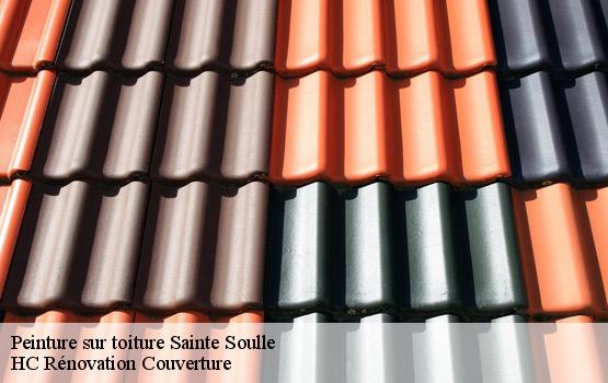 Peinture sur toiture sainte-soulle-17220 HC Rénovation Couverture-4