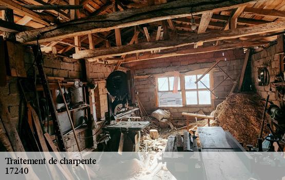 Traitement de charpente mosnac-17240 HC Rénovation Couverture-2