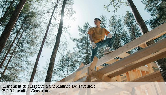 Traitement de charpente saint-maurice-de-tavernole-17500 HC Rénovation Couverture-7
