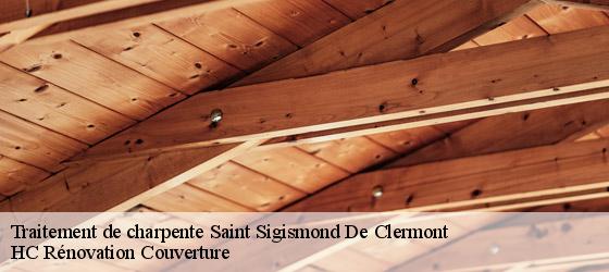Traitement de charpente saint-sigismond-de-clermont-17240 HC Rénovation Couverture-4