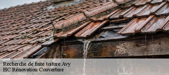 Recherche de fuite toiture avy-17800 HC Rénovation Couverture-4