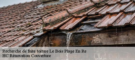 Recherche de fuite toiture le-bois-plage-en-re-17580 HC Rénovation Couverture-4