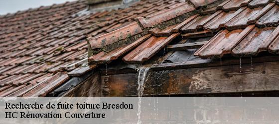 Recherche de fuite toiture bresdon-17490 HC Rénovation Couverture-4
