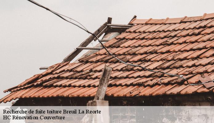Recherche de fuite toiture breuil-la-reorte-17700 HC Rénovation Couverture-7
