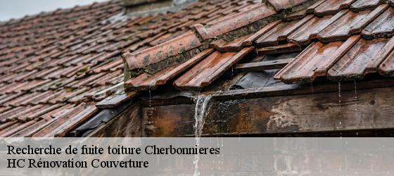 Recherche de fuite toiture cherbonnieres-17470 HC Rénovation Couverture-4
