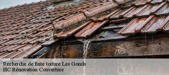 Recherche de fuite toiture les-gonds-17100 HC Rénovation Couverture-4