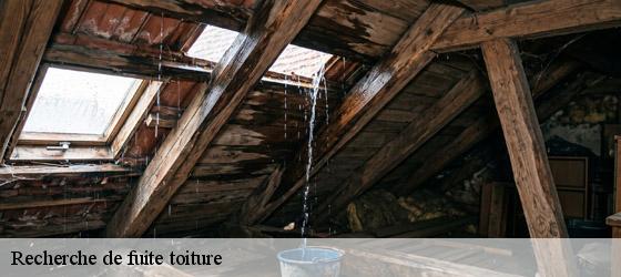 Recherche de fuite toiture  sablonceaux-17600 HC Rénovation Couverture-6
