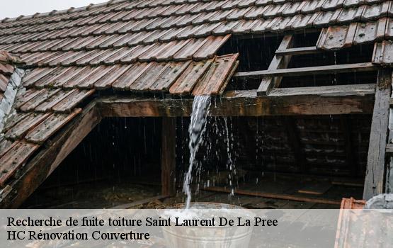 Recherche de fuite toiture saint-laurent-de-la-pree-17450 HC Rénovation Couverture-1