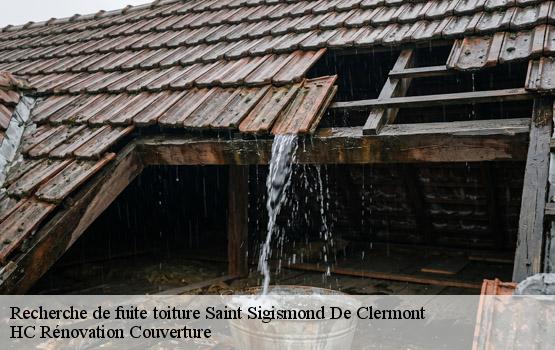 Recherche de fuite toiture saint-sigismond-de-clermont-17240 HC Rénovation Couverture-1